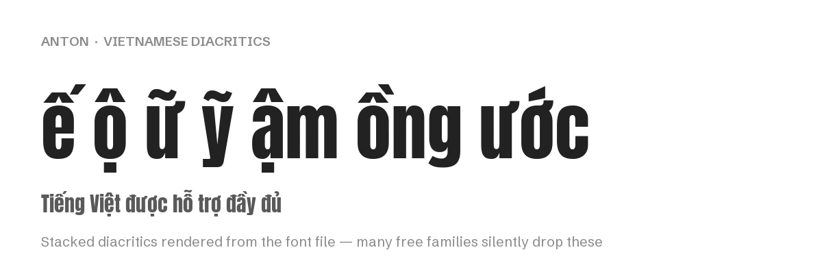 Anton rendering Vietnamese stacked diacritics including e-circumflex acute, o-circumflex dot below, u-horn tilde and y-tilde