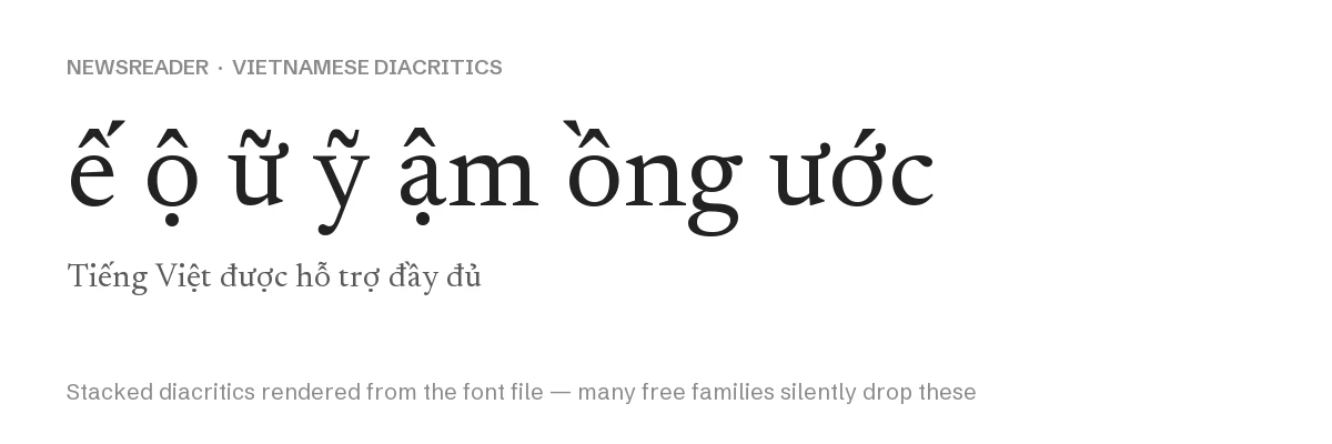 Newsreader Font: Free Serif with Optical Size + Weight Axes 3 Newsreader rendering Vietnamese stacked diacritics including e-circumflex acute, o-circumflex dot below, u-horn tilde and y-tilde