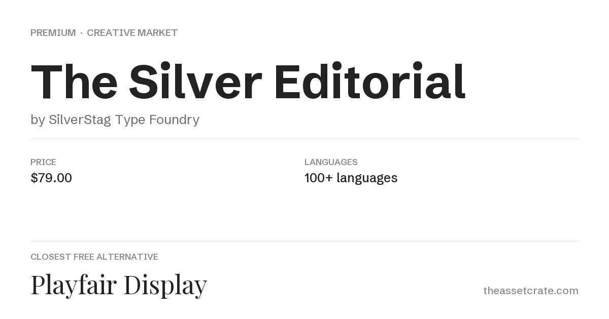 The Silver Editorial Font: 1980s-Inspired Serif 2 The Silver Editorial specification card showing designer, price, style and format as listed on Creative Market