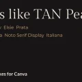 Fonts Similar to TAN Pearl in Canva: 6 Free Picks - cover
