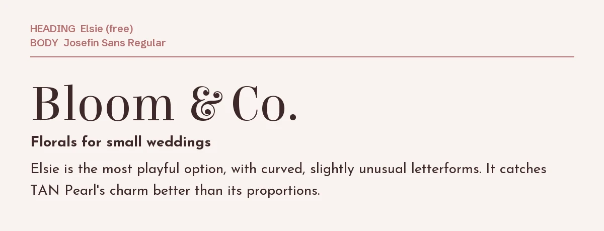 Fonts Similar to TAN Pearl in Canva: 6 Free Picks 4 Elsie headline "Bloom & Co." with Josefin Sans text on a blush background